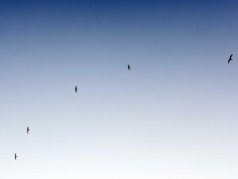 iCloud退不出修复<br>验证失败/转圈问题解决